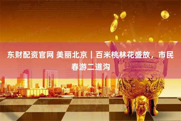 东财配资官网 美丽北京｜百米桃林花盛放，市民春游二道沟