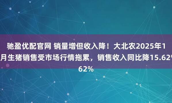 驰盈优配官网 销量增但收入降！大北农2025年12月生猪销售受市场行情拖累，销售收入同比降15.62%