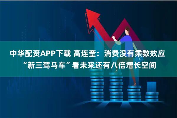 中华配资APP下载 高连奎：消费没有乘数效应 “新三驾马车”看未来还有八倍增长空间