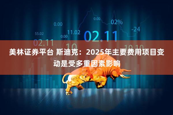 美林证券平台 斯迪克:2025年主要费用项目变动是受多重因素影响